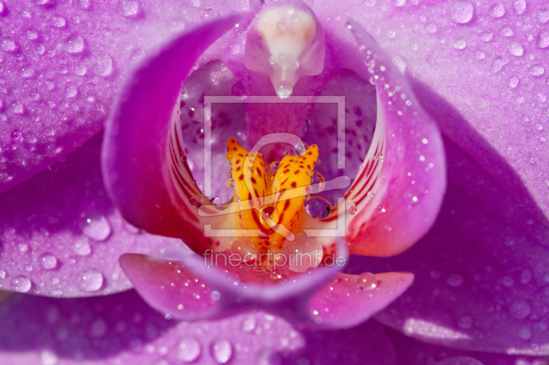 frei w&auml;hlbarer Bildausschnitt f&uuml;r Ihr Bild auf Schieferplatte