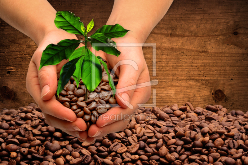 frei w&auml;hlbarer Bildausschnitt f&uuml;r Ihr Bild auf Schieferplatte