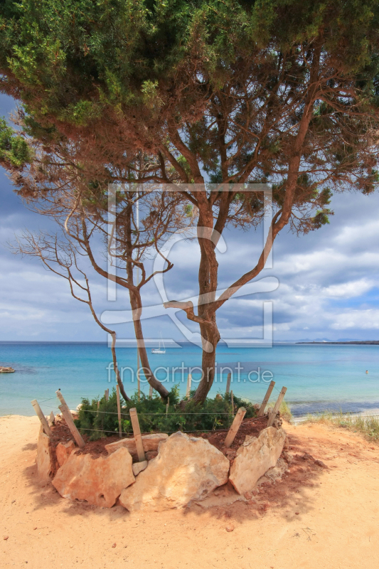 frei w&auml;hlbarer Bildausschnitt f&uuml;r Ihr Bild auf Schieferplatte