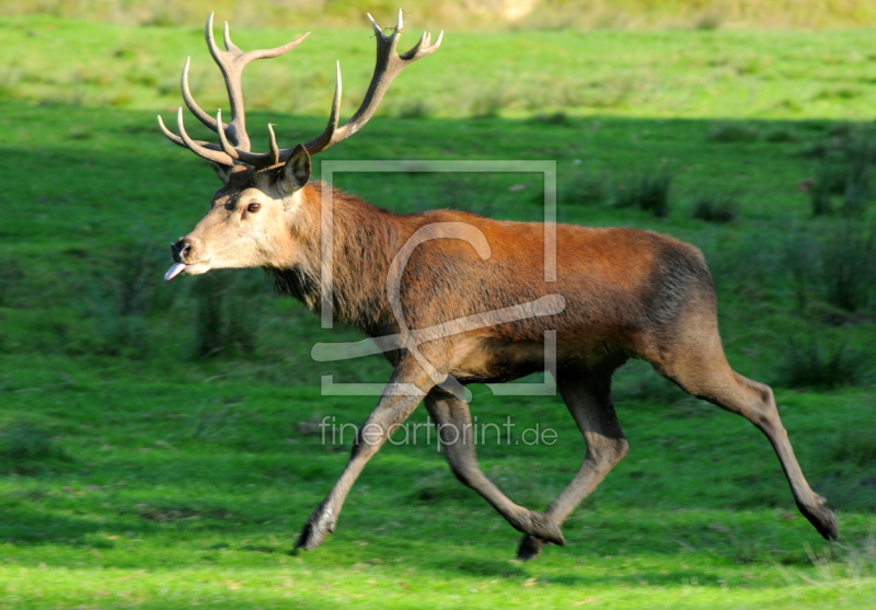 frei w&auml;hlbarer Bildausschnitt f&uuml;r Ihr Bild auf Schieferplatte