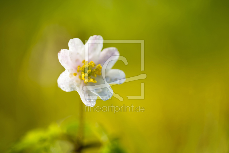 frei w&auml;hlbarer Bildausschnitt f&uuml;r Ihr Bild auf Schieferplatte