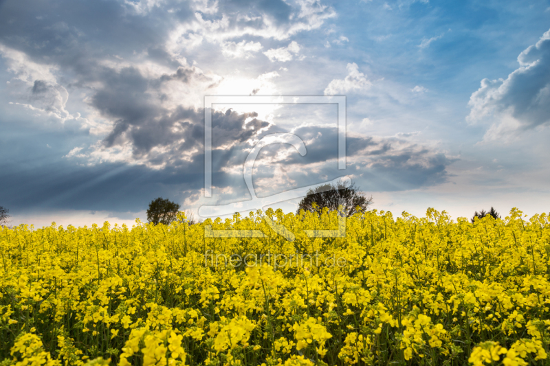frei w&auml;hlbarer Bildausschnitt f&uuml;r Ihr Bild auf Schieferplatte