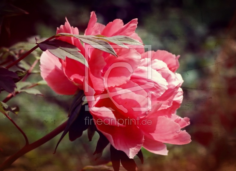 frei w&auml;hlbarer Bildausschnitt f&uuml;r Ihr Bild auf Schieferplatte