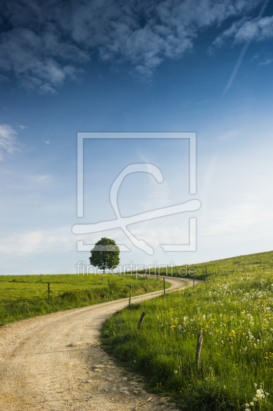 frei w&auml;hlbarer Bildausschnitt f&uuml;r Ihr Bild auf Schieferplatte