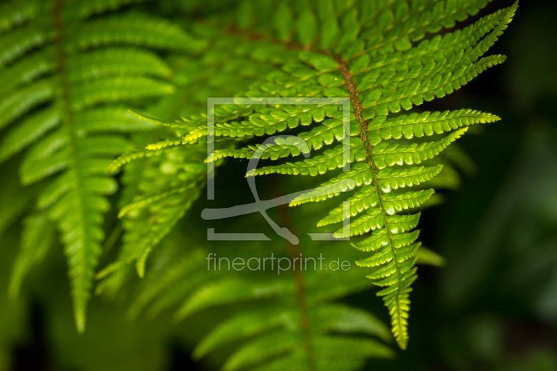 frei w&auml;hlbarer Bildausschnitt f&uuml;r Ihr Bild auf Schieferplatte