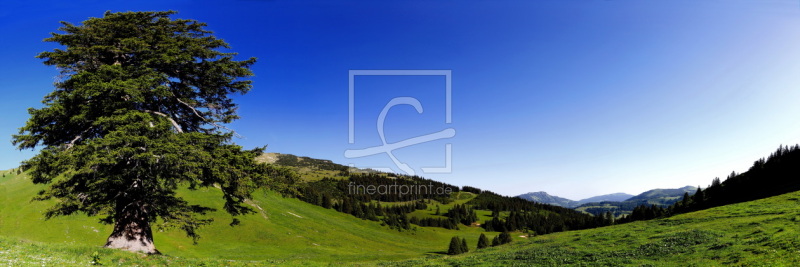 frei w&auml;hlbarer Bildausschnitt f&uuml;r Ihr Bild auf Schieferplatte