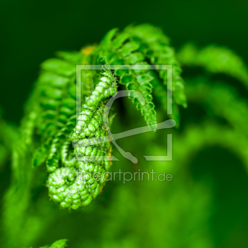 frei w&auml;hlbarer Bildausschnitt f&uuml;r Ihr Bild auf Schieferplatte