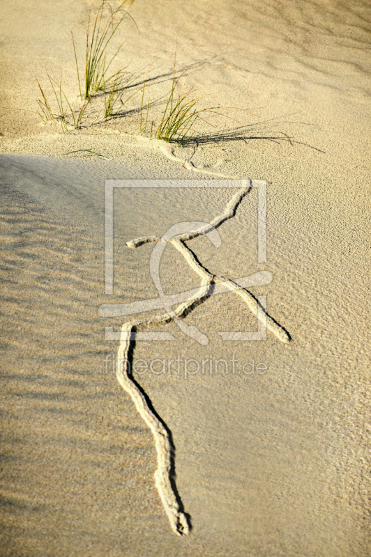 frei w&auml;hlbarer Bildausschnitt f&uuml;r Ihr Bild auf Schieferplatte