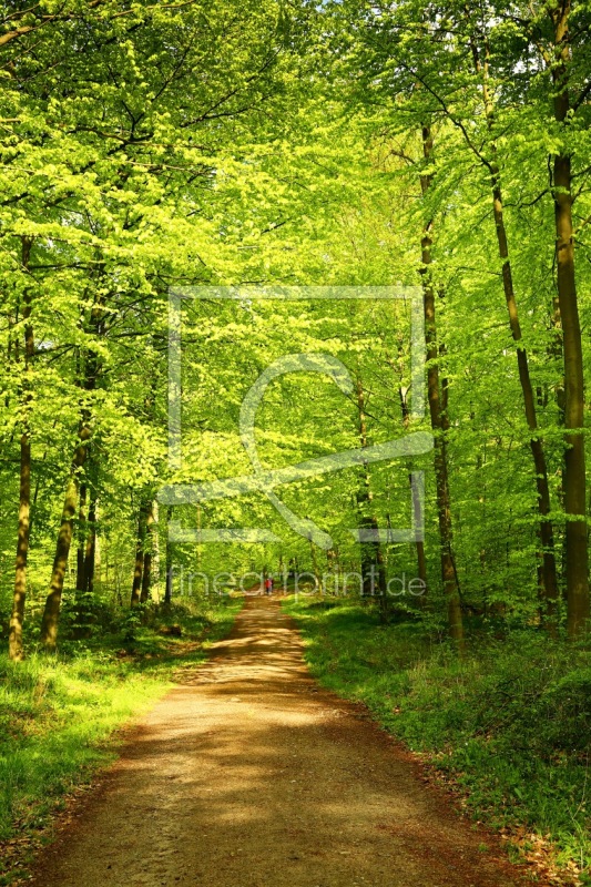 frei w&auml;hlbarer Bildausschnitt f&uuml;r Ihr Bild auf Schieferplatte