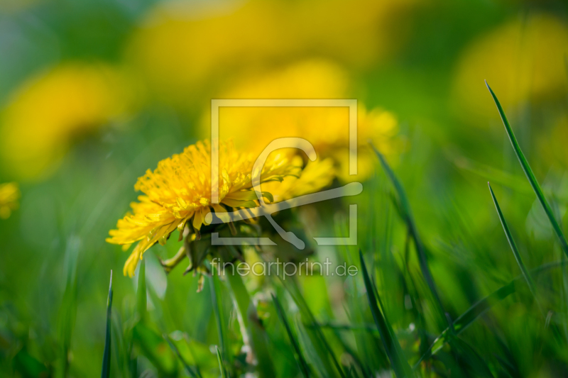 frei w&auml;hlbarer Bildausschnitt f&uuml;r Ihr Bild auf Schieferplatte
