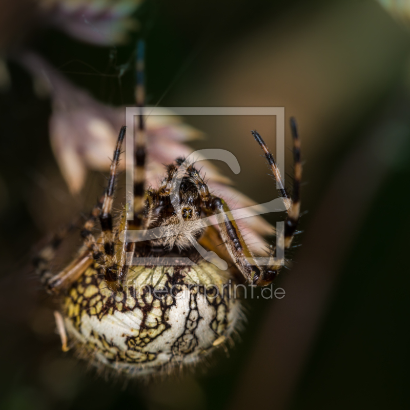 frei w&auml;hlbarer Bildausschnitt f&uuml;r Ihr Bild auf Schieferplatte