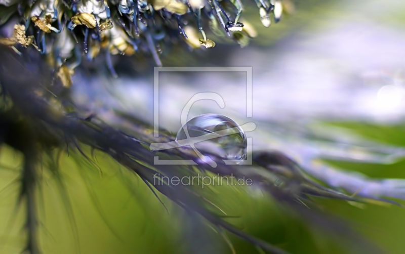 frei w&auml;hlbarer Bildausschnitt f&uuml;r Ihr Bild auf Schieferplatte