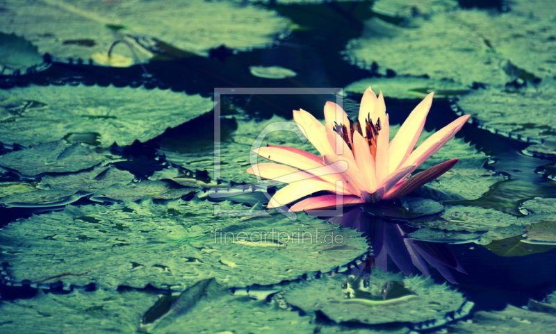 frei wählbarer Bildausschnitt für Ihr Bild auf Schieferplatte