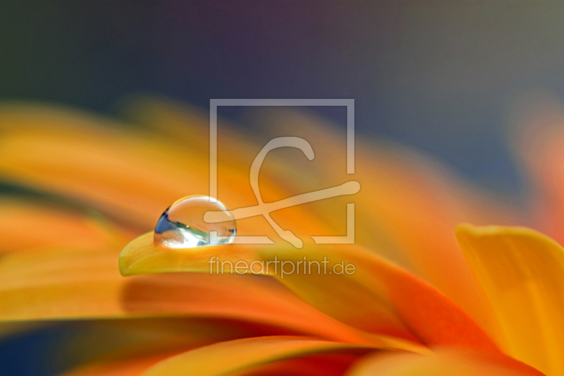 frei w&auml;hlbarer Bildausschnitt f&uuml;r Ihr Bild auf Schieferplatte