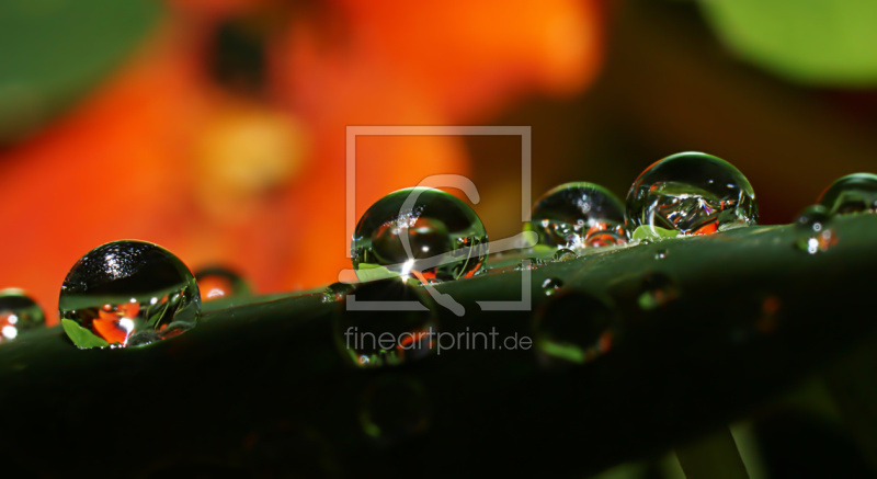 frei w&auml;hlbarer Bildausschnitt f&uuml;r Ihr Bild auf Schieferplatte