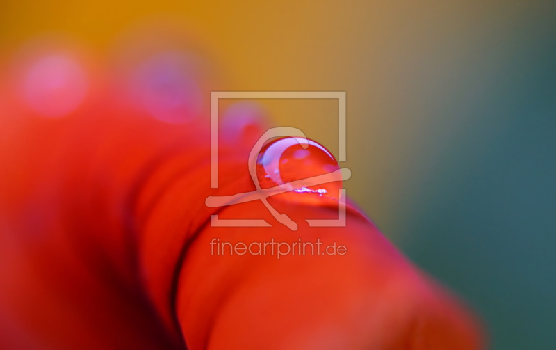 frei w&auml;hlbarer Bildausschnitt f&uuml;r Ihr Bild auf Schieferplatte