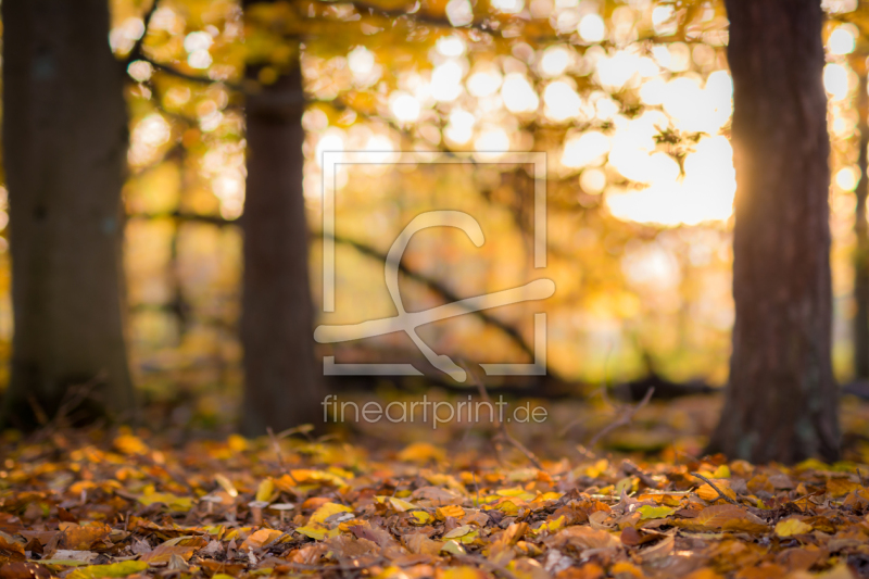 frei w&auml;hlbarer Bildausschnitt f&uuml;r Ihr Bild auf Schieferplatte
