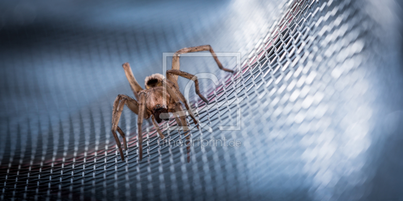 frei w&auml;hlbarer Bildausschnitt f&uuml;r Ihr Bild auf Schieferplatte