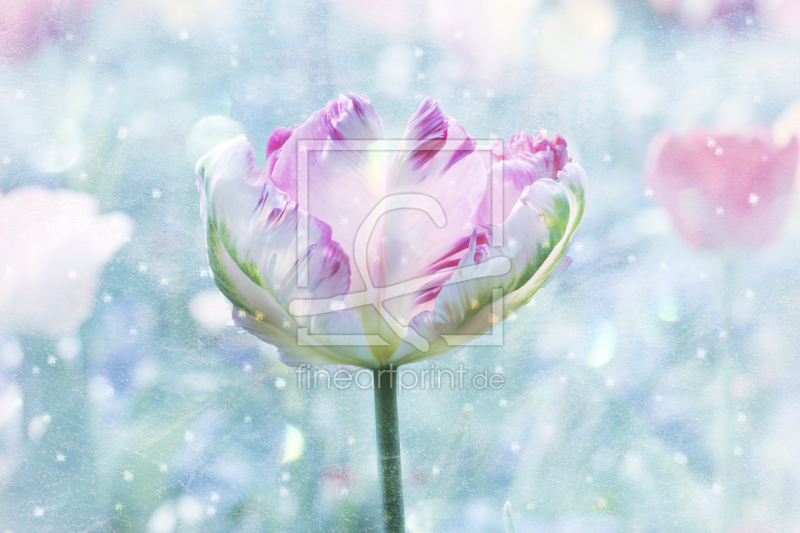 frei w&auml;hlbarer Bildausschnitt f&uuml;r Ihr Bild auf Schieferplatte