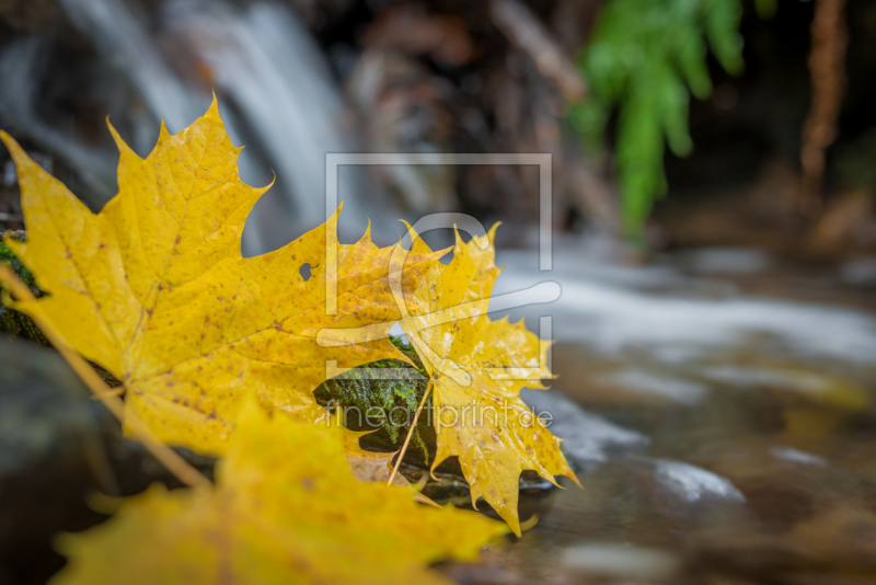 frei w&auml;hlbarer Bildausschnitt f&uuml;r Ihr Bild auf Schieferplatte