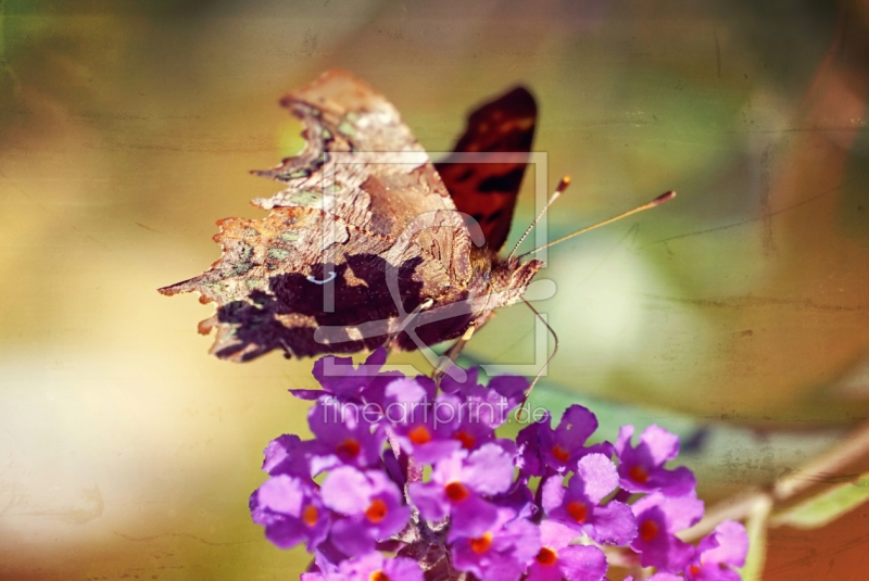 frei w&auml;hlbarer Bildausschnitt f&uuml;r Ihr Bild auf Schieferplatte