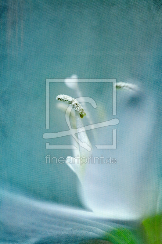 frei w&auml;hlbarer Bildausschnitt f&uuml;r Ihr Bild auf Schieferplatte