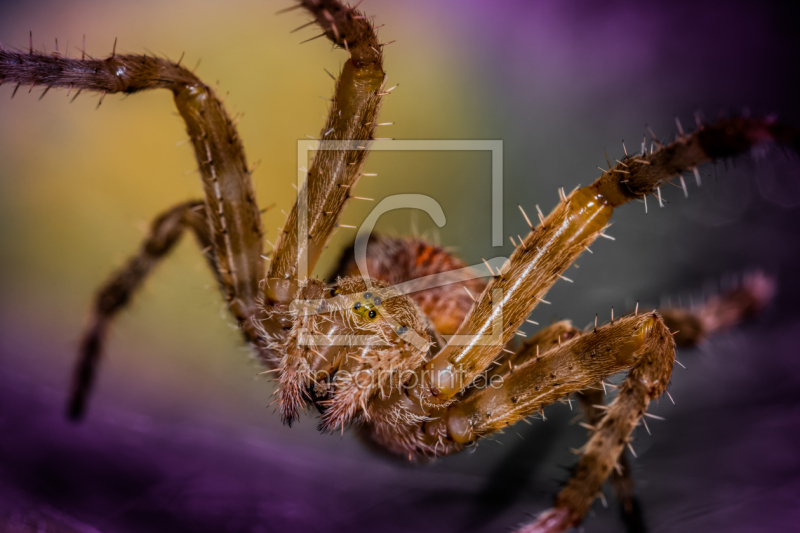 frei w&auml;hlbarer Bildausschnitt f&uuml;r Ihr Bild auf Schieferplatte