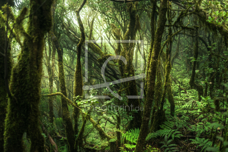 frei w&auml;hlbarer Bildausschnitt f&uuml;r Ihr Bild auf Schieferplatte