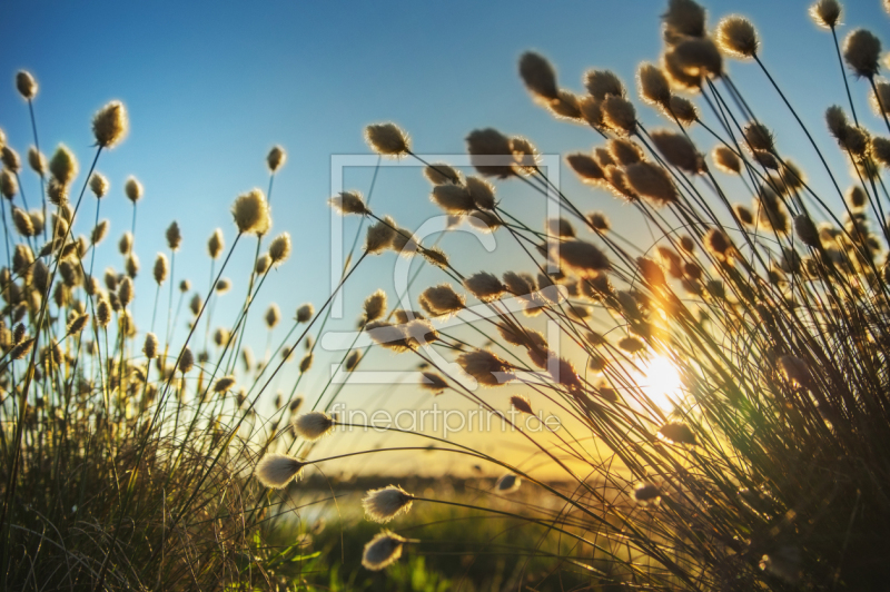 frei w&auml;hlbarer Bildausschnitt f&uuml;r Ihr Bild auf Schieferplatte
