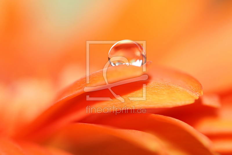 frei w&auml;hlbarer Bildausschnitt f&uuml;r Ihr Bild auf Schieferplatte