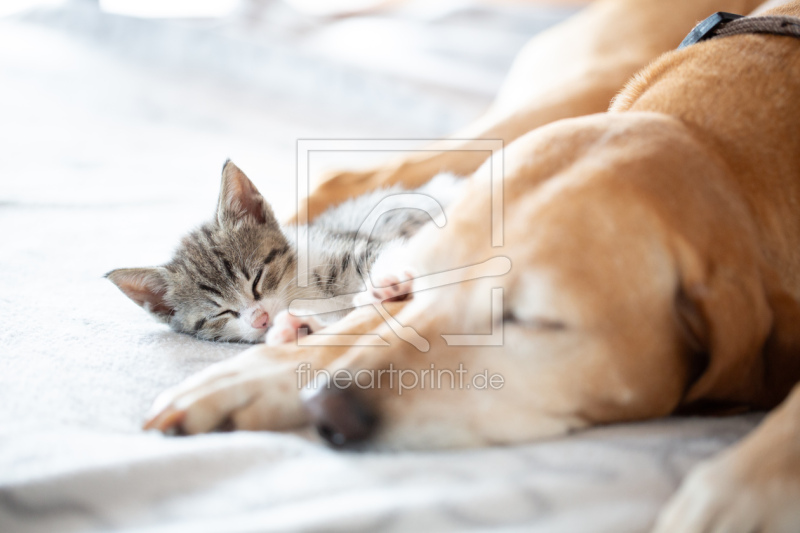 frei w&auml;hlbarer Bildausschnitt f&uuml;r Ihr Bild auf Schieferplatte