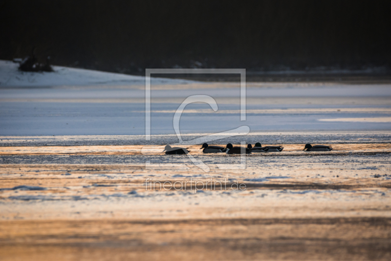 frei w&auml;hlbarer Bildausschnitt f&uuml;r Ihr Bild auf Schieferplatte