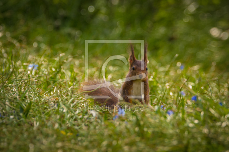 frei w&auml;hlbarer Bildausschnitt f&uuml;r Ihr Bild auf Schieferplatte
