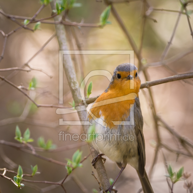 frei w&auml;hlbarer Bildausschnitt f&uuml;r Ihr Bild auf Schieferplatte