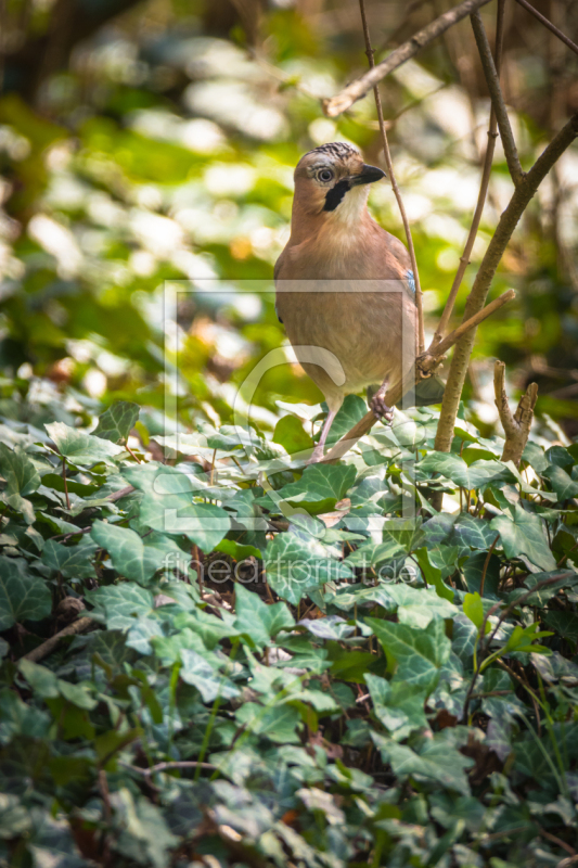 frei w&auml;hlbarer Bildausschnitt f&uuml;r Ihr Bild auf Schieferplatte