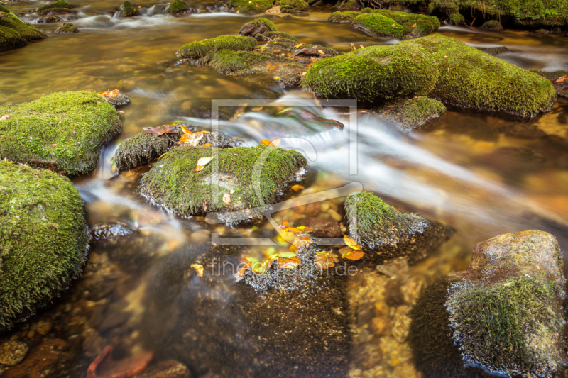 frei w&auml;hlbarer Bildausschnitt f&uuml;r Ihr Bild auf Schieferplatte