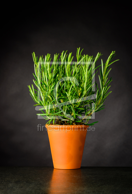 frei w&auml;hlbarer Bildausschnitt f&uuml;r Ihr Bild auf Schieferplatte