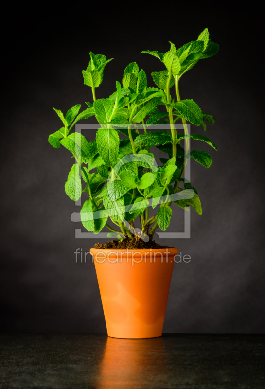 frei w&auml;hlbarer Bildausschnitt f&uuml;r Ihr Bild auf Schieferplatte