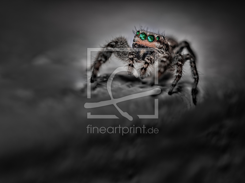 frei w&auml;hlbarer Bildausschnitt f&uuml;r Ihr Bild auf Schieferplatte