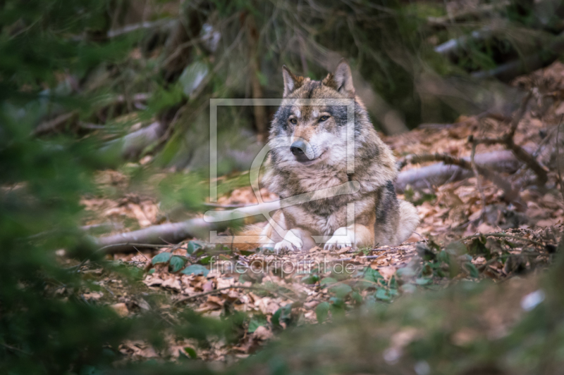 frei w&auml;hlbarer Bildausschnitt f&uuml;r Ihr Bild auf Schieferplatte