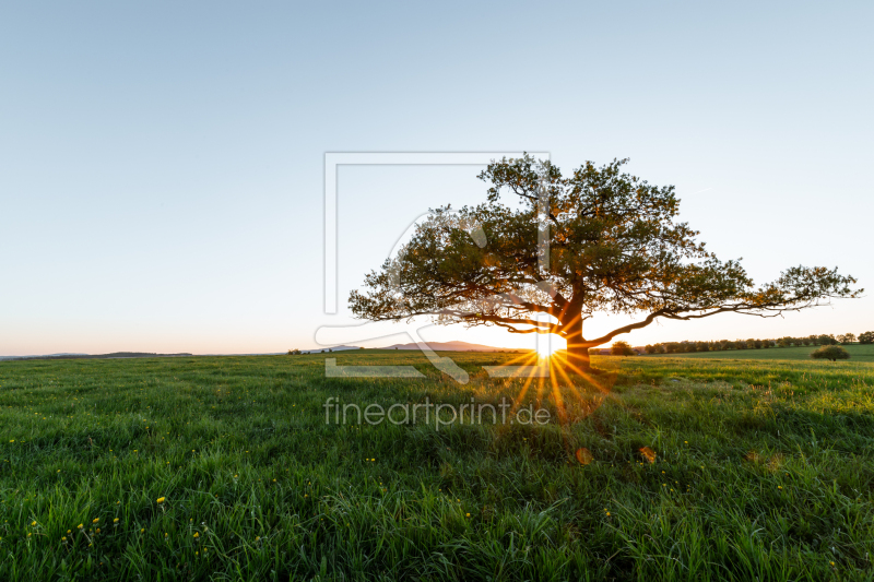 frei w&auml;hlbarer Bildausschnitt f&uuml;r Ihr Bild auf Schieferplatte