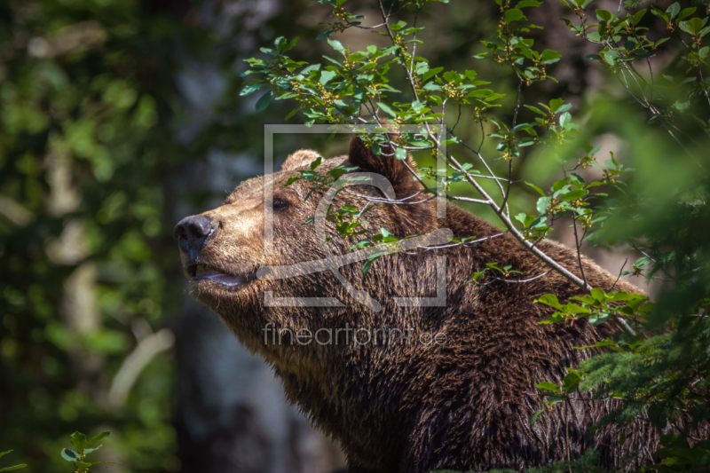 frei w&auml;hlbarer Bildausschnitt f&uuml;r Ihr Bild auf Schieferplatte