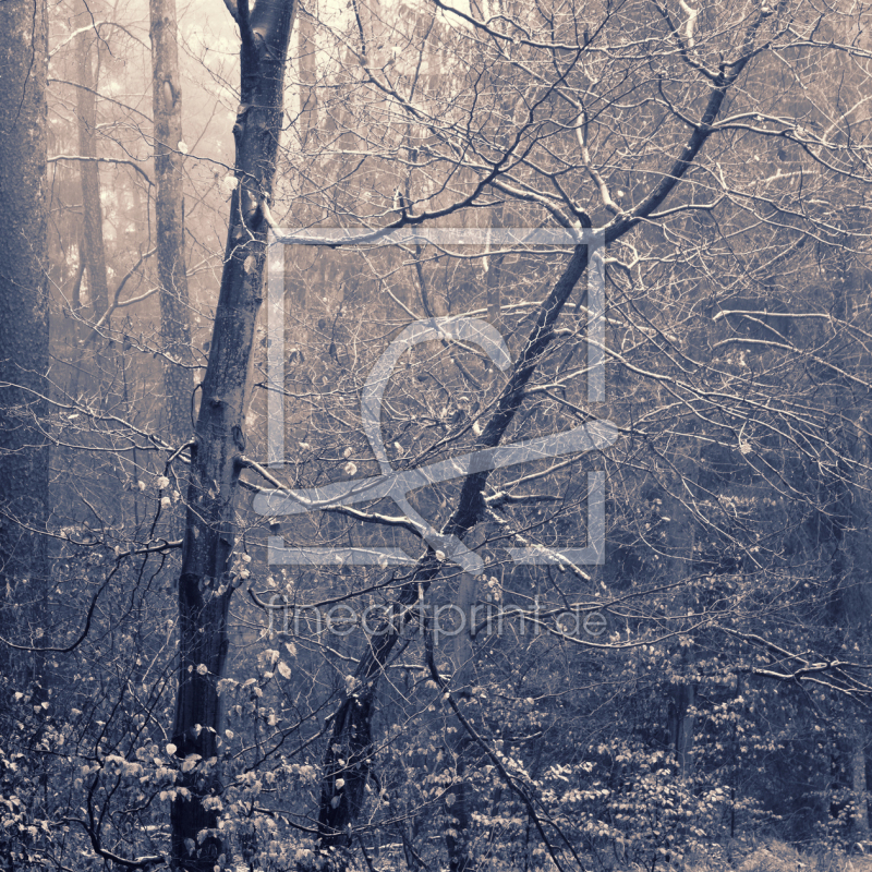 frei w&auml;hlbarer Bildausschnitt f&uuml;r Ihr Bild auf Schieferplatte