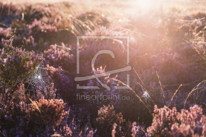 frei w&auml;hlbarer Bildausschnitt f&uuml;r Ihr Bild auf Schieferplatte