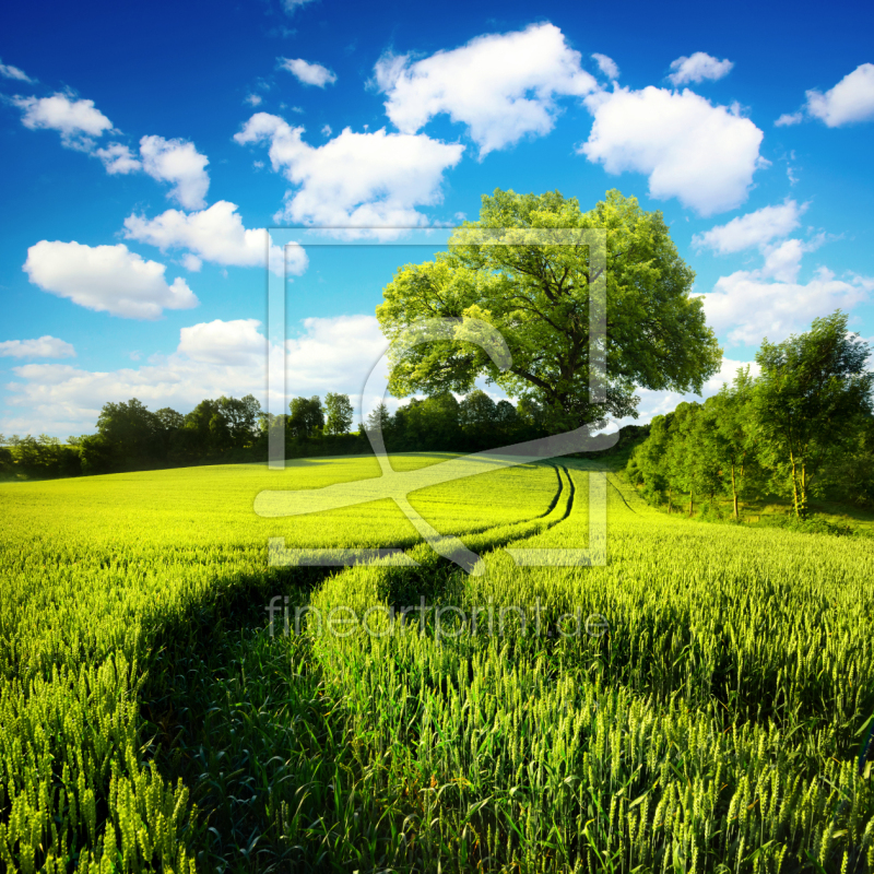 frei w&auml;hlbarer Bildausschnitt f&uuml;r Ihr Bild auf Schieferplatte