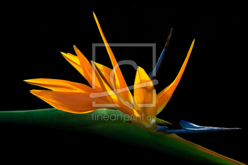 frei w&auml;hlbarer Bildausschnitt f&uuml;r Ihr Bild auf Schieferplatte