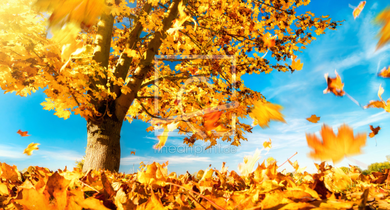 frei w&auml;hlbarer Bildausschnitt f&uuml;r Ihr Bild auf Schieferplatte