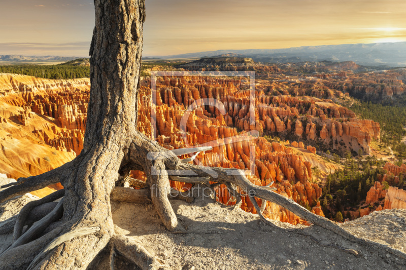 frei w&auml;hlbarer Bildausschnitt f&uuml;r Ihr Bild auf Schieferplatte