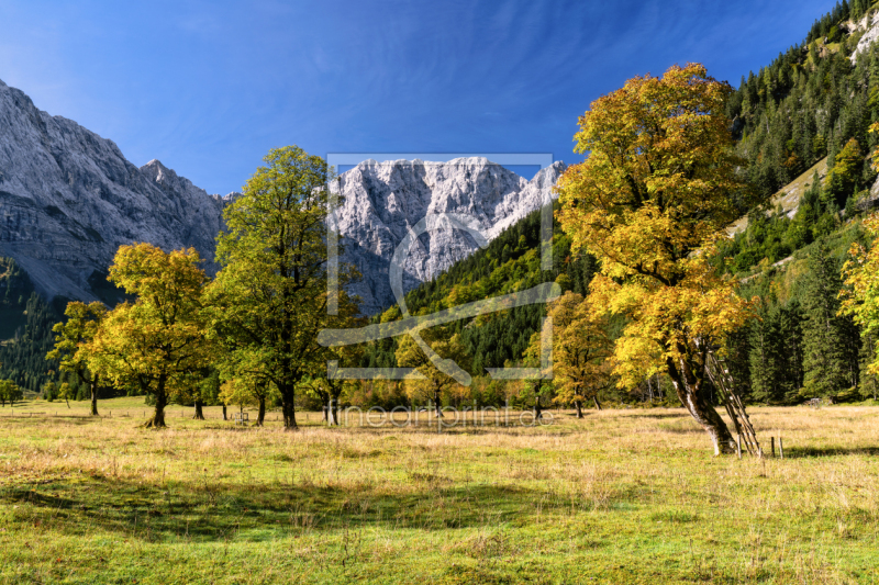 frei wählbarer Bildausschnitt für Ihr Bild auf Schieferplatte