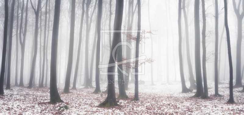 frei w&auml;hlbarer Bildausschnitt f&uuml;r Ihr Bild auf Schieferplatte